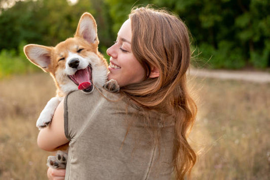 Can A Dog Eat White Chocolate? What To Do When Your Dog Eats White Chocolate?