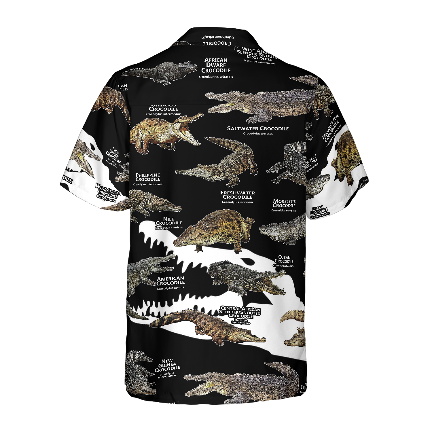 Crocodiles Of The World Shirt For Men Hawaiian Shirt
