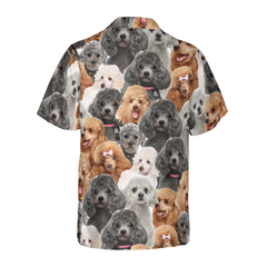 Poodles In Different Colors Poodle Hawaiian Shirt, Best Dog Shirt For Men And Women - Hyperfavor